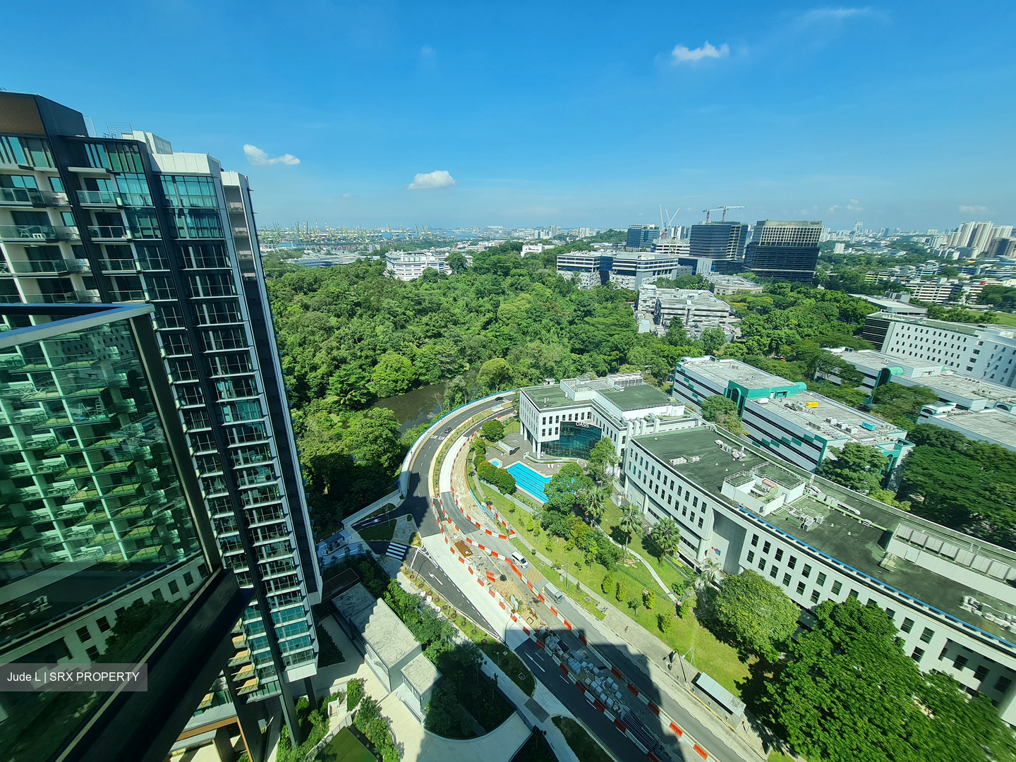 Normanton Park (D5), Apartment #415936641